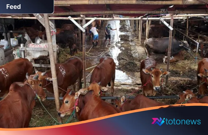 Panduan Lengkap Memilih Hewan Kurban Terbaik untuk Idul Adha 2026: Syarat, Jenis, dan Hukum Syariah