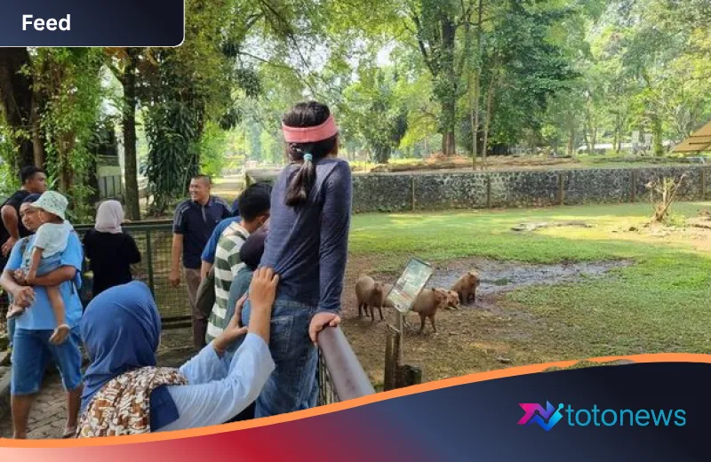Pesona ‘Masbro’ di Ragunan: Kisah Warga Cianjur Hingga Nostalgia Masa Kecil di Tengah Libur Panjang