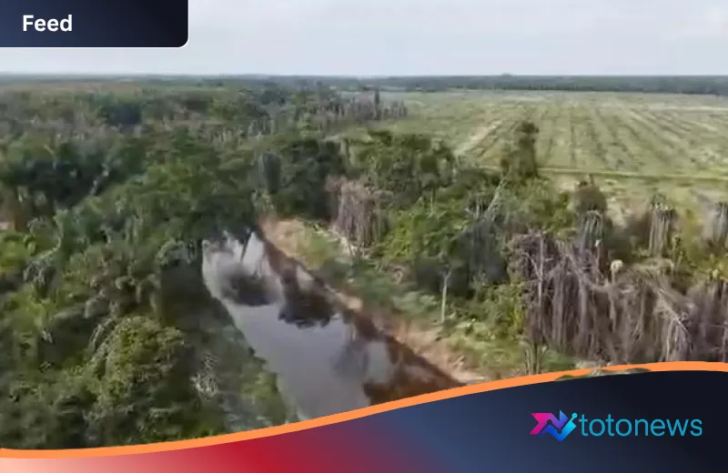 Skandal Ekologi di Riau: Jejak Perusakan Sempadan Sungai Nilo oleh Korporasi Sawit Terungkap