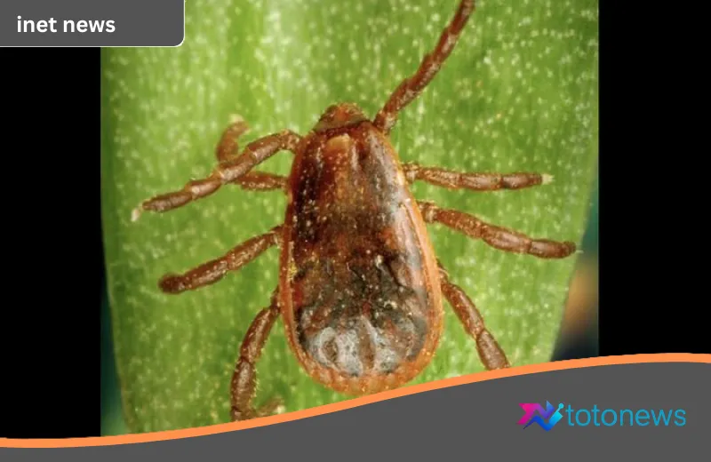 Misteri Mahluk Pengisap Darah yang Viral di Threads: Inilah Penjelasan Ahli Biologi Mengenai Ancaman di Balik Gigitan Caplak