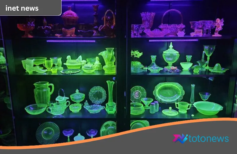 8 Koleksi Barang Unik yang Berawal dari Iseng Menjadi Obsesi Luar Biasa