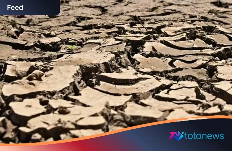 Ancaman El Niño 2026: Mengapa Sejarah Kelam 1877 Menjadi Peringatan Keras bagi Indonesia?