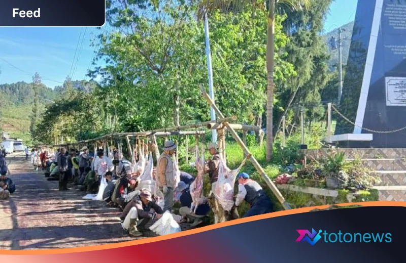 Fenomena Dusun Krajan Banjarnegara: Lautan Kurban 52 Sapi dan 339 Kambing Menghiasi Idul Adha 2026