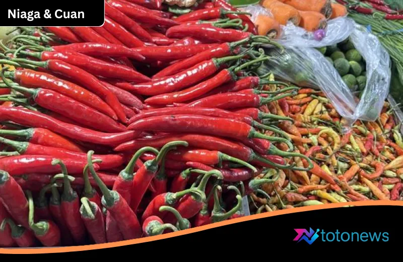 Fenomena Harga Pangan Idul Adha 2026: Cabai Rawit Meroket Tajam, Simak Daftar Lengkap Perubahan Harga Komoditas