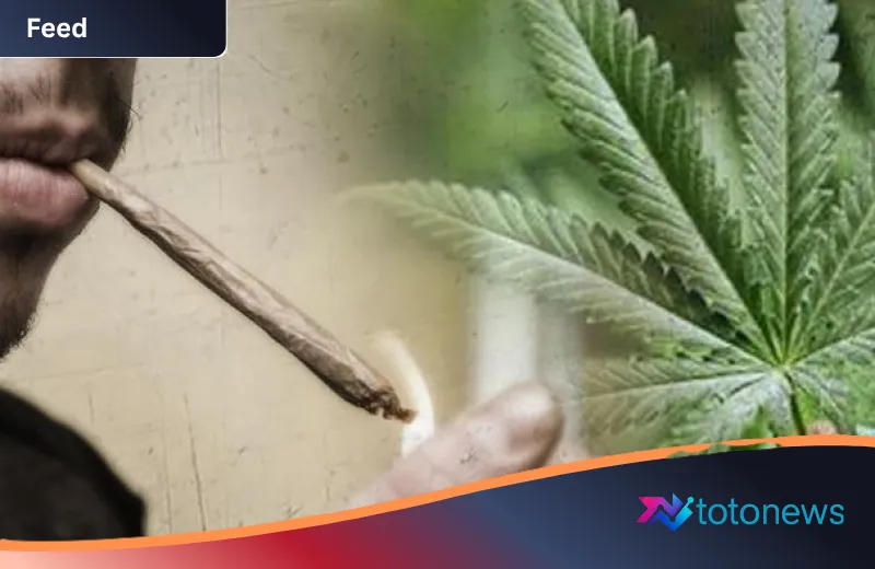 Gemerlap Malam Pekanbaru Berujung Razia: Anak Pejabat dan Selebgram Terjaring Operasi Narkoba Gabungan
