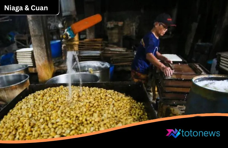 Strategi Pemerintah Tekan Harga Kedelai di Tengah Amukan Dolar: Subsidi Rp 2.000 Per Kilogram Jadi Penyelamat?
