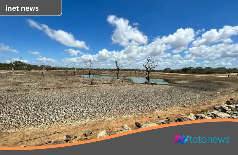 El Nino 2026 Resmi Tiba: Akankah Menjadi Anomali Cuaca Terburuk dalam Sejarah Modern?