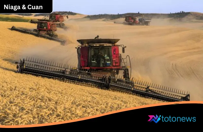 Ancaman Krisis Pangan Global: Produksi Gandum Dunia Merosot Tajam Akibat Amukan Cuaca Ekstrem