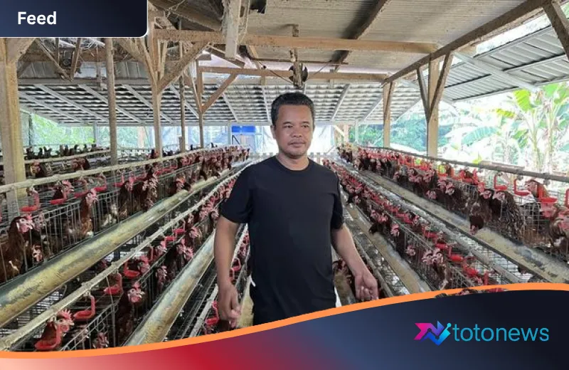 Kisah Inspiratif Nirin Samsudin: Membangun Kerajaan Ayam Petelur dari Nol Hingga Jadi Motor Ekonomi Desa