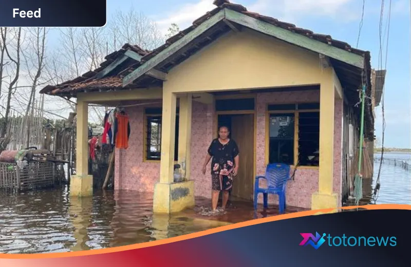 Sebulan Terperangkap Banjir Rob, Warga Tunggulsari Pati Mulai Diserang Penyakit dan Kelelahan Akut
