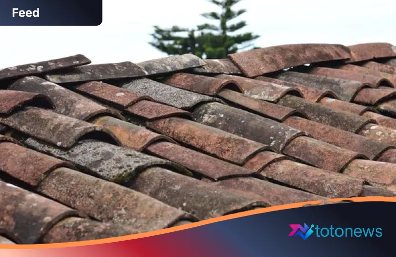 Transformasi Desa Domas: Langkah Humanis Pemkab Serang Relokasi 136 Hunian di Bantaran Irigasi