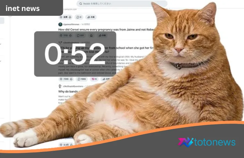 Cat Gatekeeper: Solusi Unik Si Kucing Oren yang Siap Hentikan Kebiasaan Scrolling Berlebihan Anda