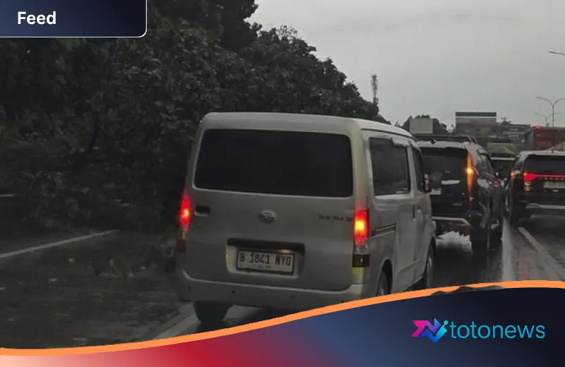 Cuaca Ekstrem Mengamuk, Tol Jagorawi Lumpuh Akibat Rentetan Pohon Tumbang