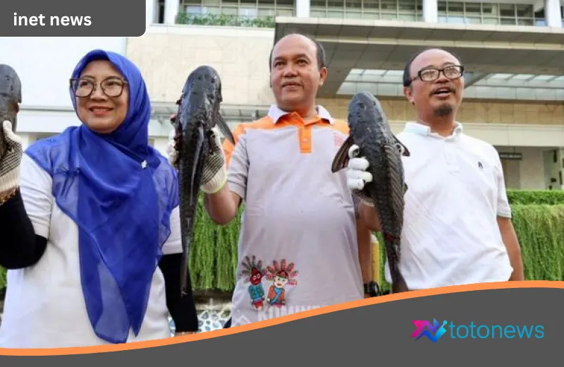 Dilema Ikan Sapu-Sapu: Santapan Lezat di Amazon, Ancaman Beracun di Perairan Jakarta