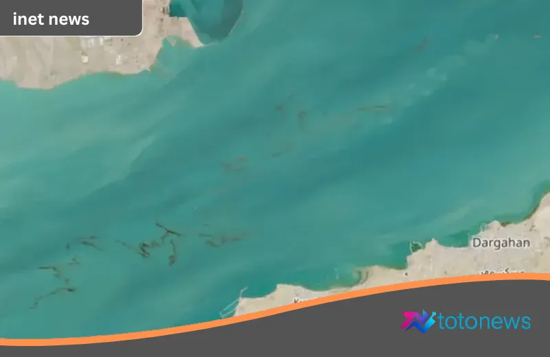Jejak Hitam di Teluk Persia: Tumpahan Minyak Akibat Konflik Iran Mengancam Ekosistem Dunia