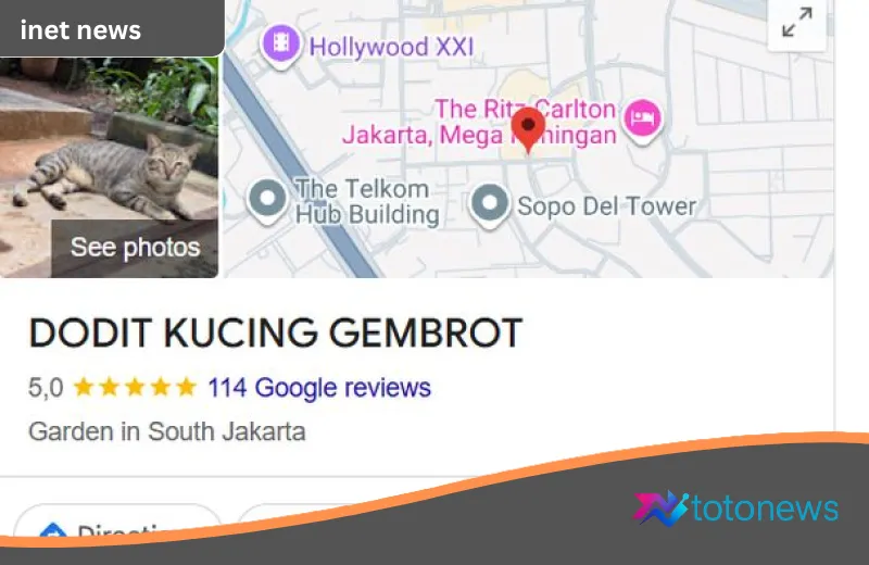 Kisah di Balik ‘Dodit Kucing Gembrot’: Penguasa Menggemaskan Mega Kuningan yang Viral di Google Maps