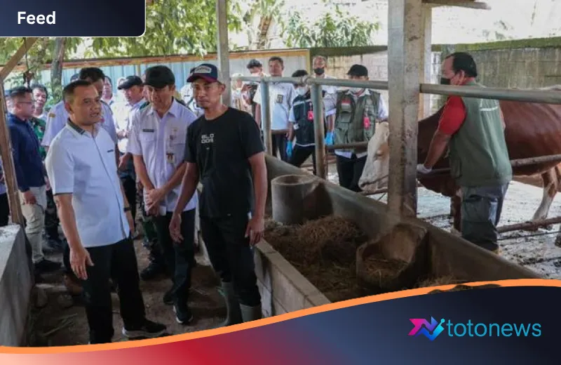Strategi Ahmad Luthfi Amankan Stok Hewan Kurban: Inovasi ‘Healing’ Jadi Garda Terdepan di Sragen