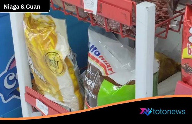 Strategi Baru Kementan: Jajaki Impor Kemasan Beras Malaysia di Tengah Gejolak Global
