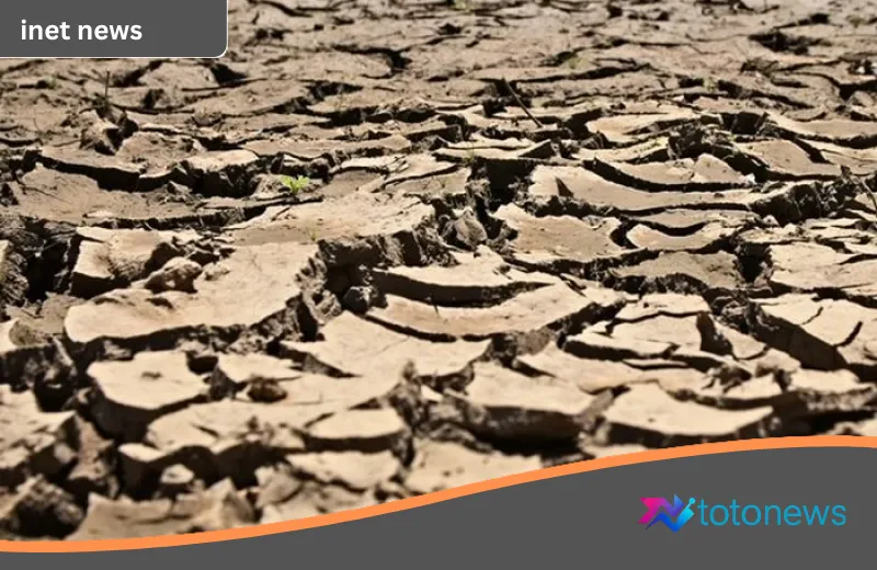 Waspada Krisis Iklim: Fenomena ‘Cincin Panas’ Pasifik Picu Ancaman Super El Nino 2026
